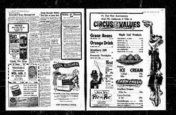 Castlegar News 1960-07-28, page 5