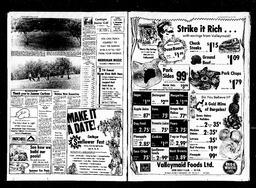 Castlegar News 1978-07-07, page 4