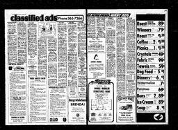 Castlegar News 1973-08-02, page 4