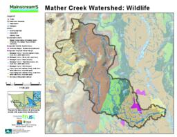 Mather Creek (Mainstreems) - Mather Creek Watershed: Wildlife Letter