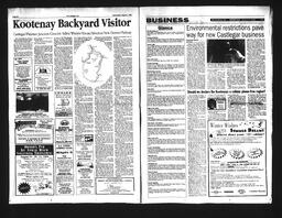   Castlegar Sun 1994-08-03   , page 5