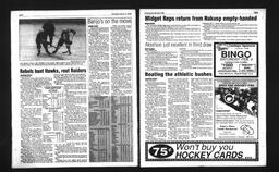Castlegar News 1993-02-03, page 8