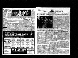 Castlegar News 1981-06-07, page 9