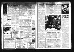 Castlegar News 1984-07-08, page 2