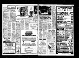 Castlegar News 1973-11-29, page 4