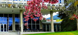 Castlegar Courtyard in Spring: 