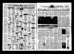 Castlegar News 1981-11-25, page 1
