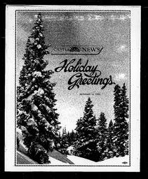 Castlegar News 1980-12-24, page 10