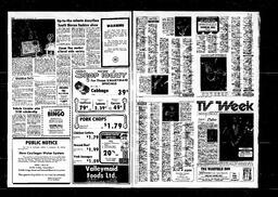 Castlegar News 1979-12-05, page 12