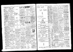   Rossland Evening Record 1898-06-02   , page 2