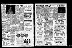 Castlegar News 1967-07-06, page 3