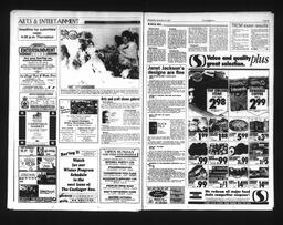   Castlegar Sun 1995-11-22   , page 8