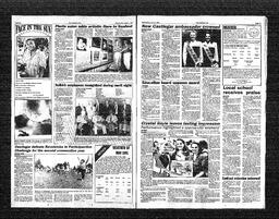   Castlegar Sun 1991-06-05   , page 2
