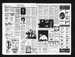   Castlegar Sun 1992-06-17   , page 3