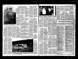 Castlegar News 1981-05-06, page 8