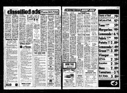 Castlegar News 1973-07-05, page 4