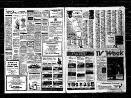 Castlegar News 1981-02-18, page 9