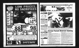 Castlegar News 1993-02-06, page 1