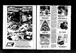 Castlegar News 1973-12-20, page 12