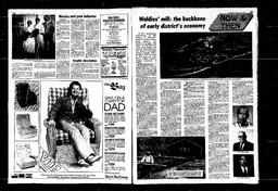 Castlegar News 1980-06-01, page 4