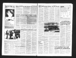   Castlegar Sun 1993-03-17   , page 10