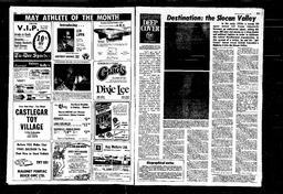 Castlegar News 1980-06-08, page 4