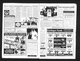   Castlegar Sun 1993-03-10   , page 3