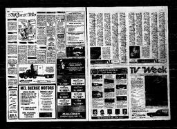 Castlegar News 1981-07-29, page 12