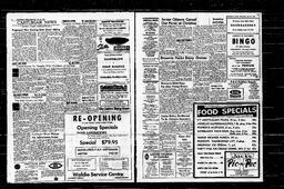 Castlegar News 1966-06-29, page 3