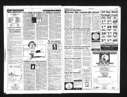  Castlegar Sun 1992-01-29   , page 4