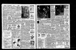 Castlegar News 1967-02-02, page 4