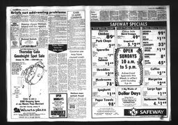Castlegar News 1986-01-15, page 3