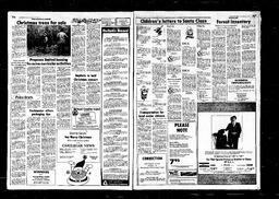 Castlegar News 1979-12-12, page 4
