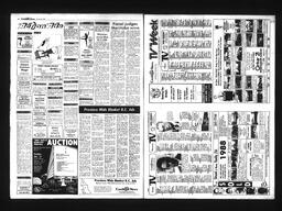 Castlegar News 1988-01-20, page 10