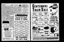 Castlegar News 1967-02-07, page 2