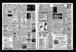 Castlegar News 1965-06-03, page 4