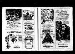 Castlegar News 1977-12-22, page 24
