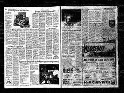Castlegar News 1981-02-11, page 4