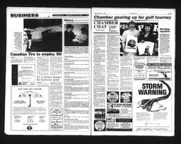   Castlegar Sun 1995-05-10   , page 8