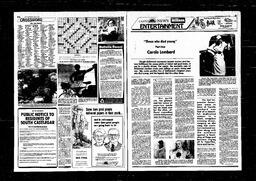 Castlegar News 1980-07-27, page 3