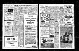 Castlegar News 1960-06-30, page 3