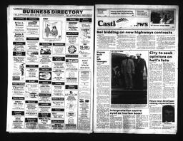 Castlegar News 1991-03-13, page 8