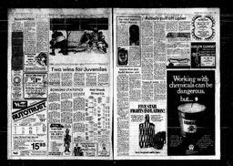 Castlegar News 1982-11-17, page 6