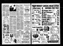 Castlegar News 1973-01-11, page 2