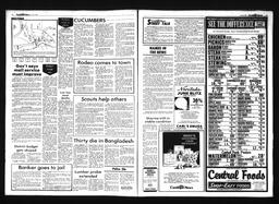 Castlegar News 1985-06-05, page 2