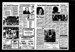Castlegar News 1980-06-29, page 2