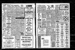 Castlegar News 1966-01-06, page 4