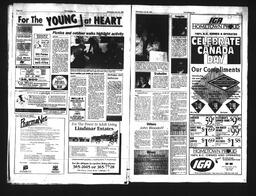   Castlegar Sun 1994-06-29   , page 6