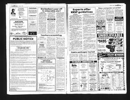 Castlegar News 1990-02-07, page 12
