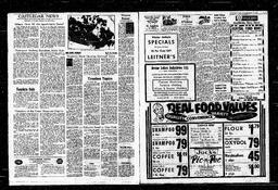 Castlegar News 1965-03-11, page 3